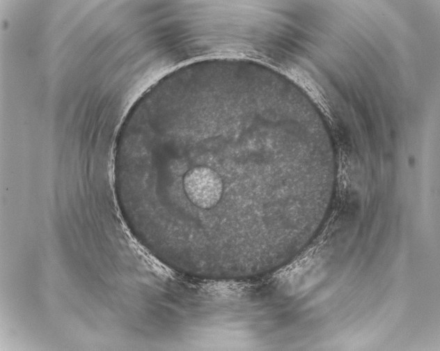 X0000087020950200705071506