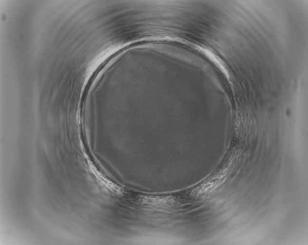 X0000087020951200705071506