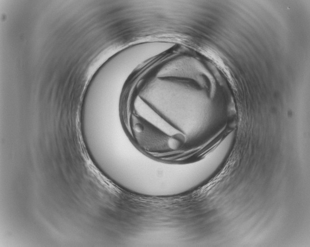 X0000087020952200705071506