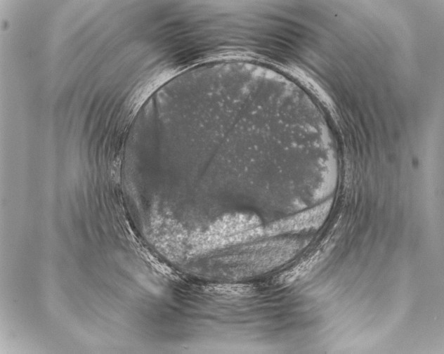 X0000087020953200705071506