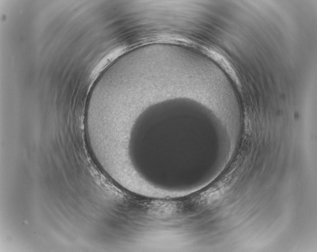 X0000087020954200705071506