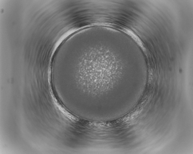 X0000087020955200705071506