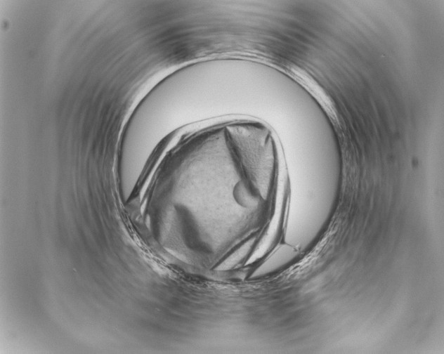 X0000087020956200705071506