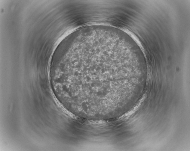 X0000087020957200705071506