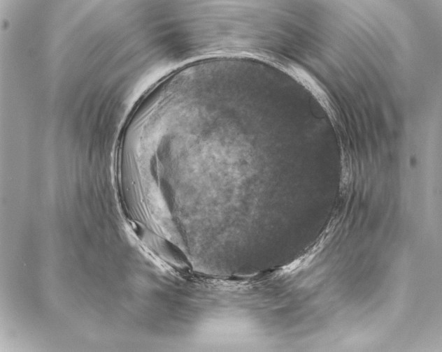 X0000087020958200705071506