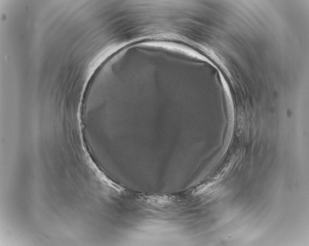 X0000087020959200705071506