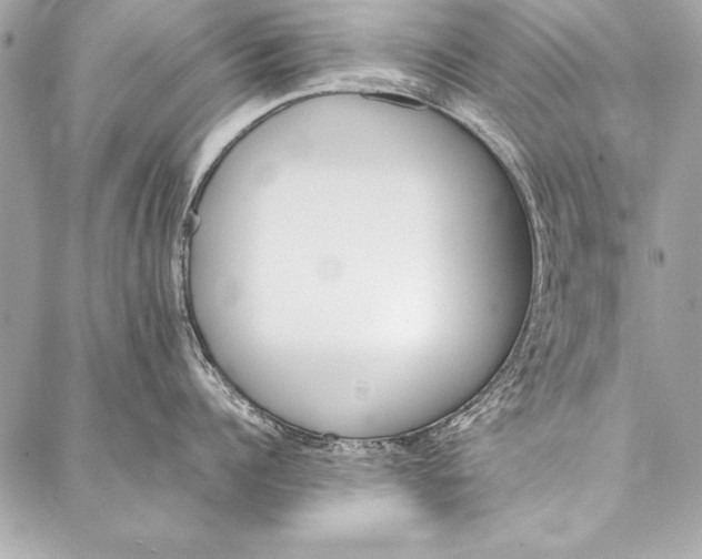 X0000087020960200705071506