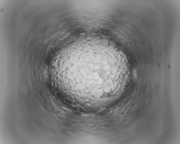 X0000087020963200705071505