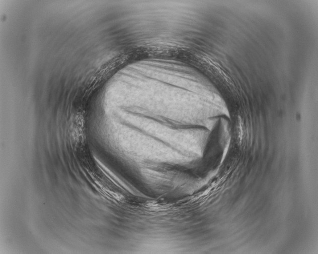 X0000087020964200705071505