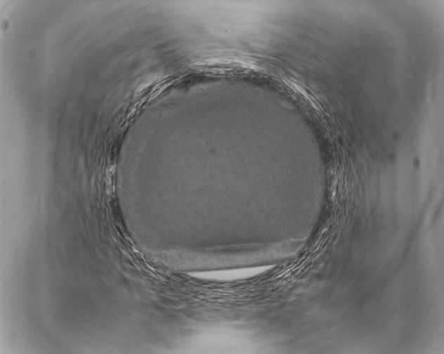 X0000087020965200705071505