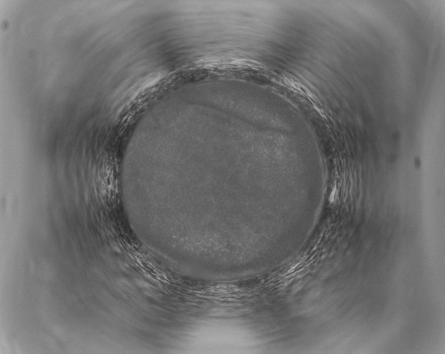 X0000087020966200705071505