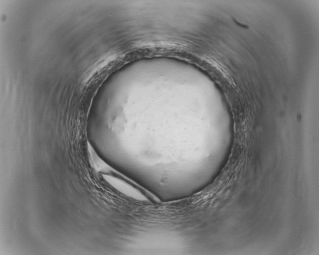 X0000087020967200705071505