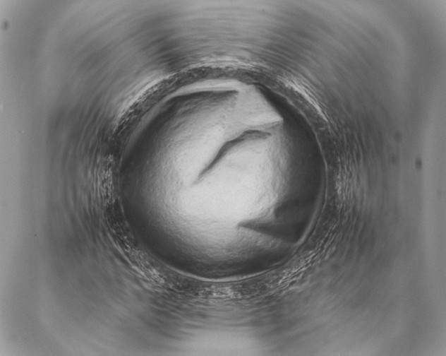 X0000087020968200705071505