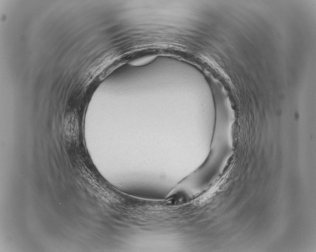 X0000087020969200705071505