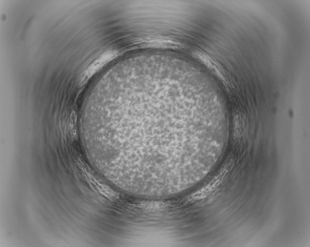 X0000087020970200705071505