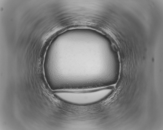 X0000087020971200705071505