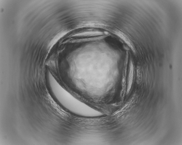 X0000087020972200705071505