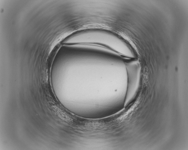 X0000087020973200705071505