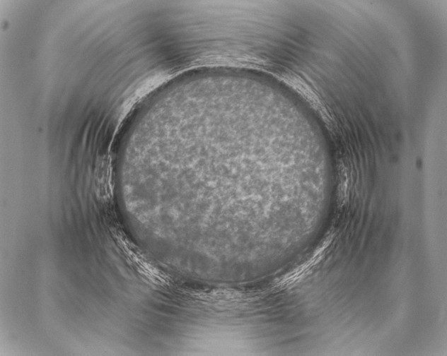 X0000087020974200705071505