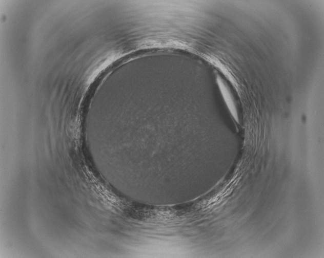 X0000087020975200705071505