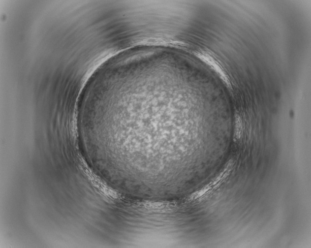 X0000087020976200705071505