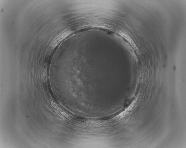 X0000087020977200705071505