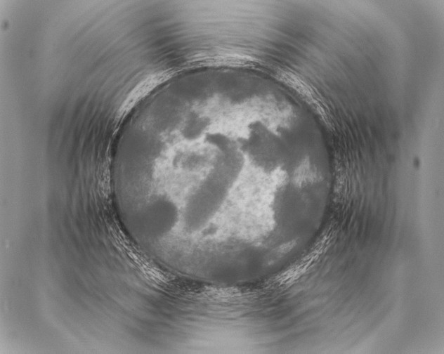 X0000087020978200705071505