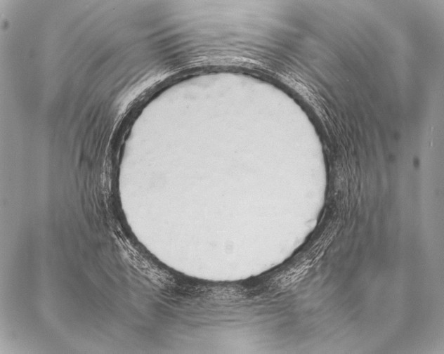 X0000087020979200705071505