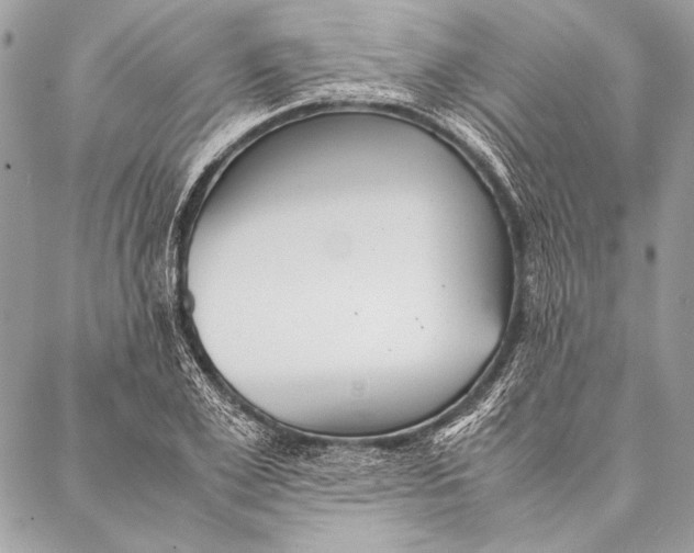 X0000087020981200705071505