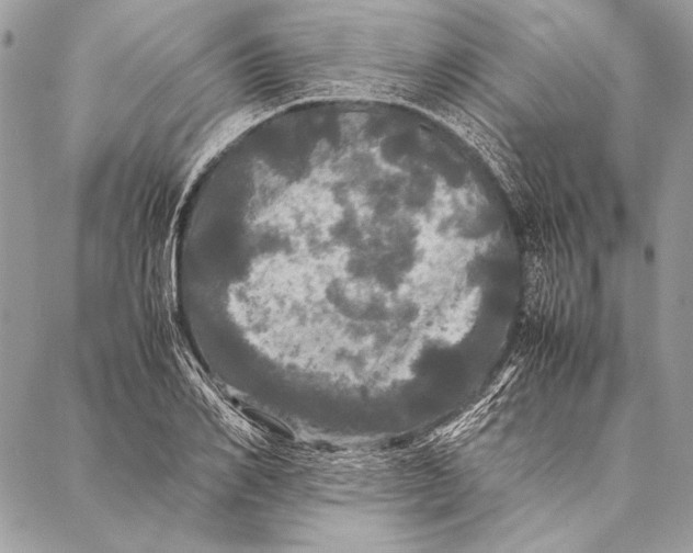 X0000087020982200705071505