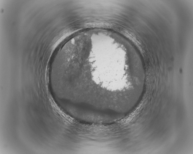 X0000087020983200705071505