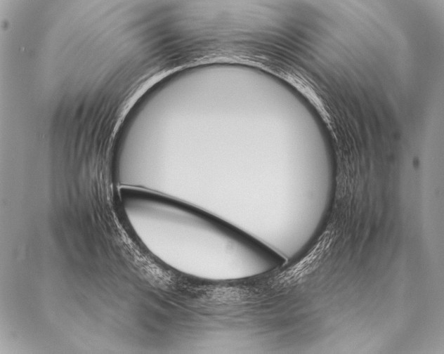 X0000087020984200705071505