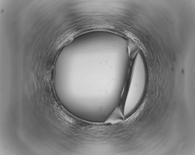 X0000087020985200705071505