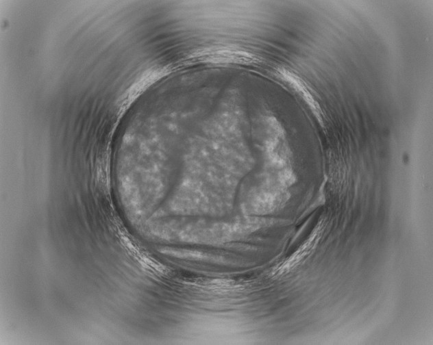 X0000087020986200705071505