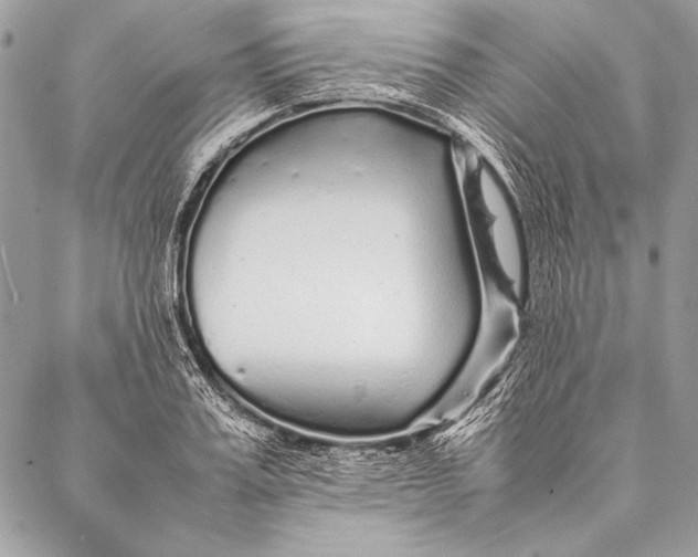 X0000087020987200705071505