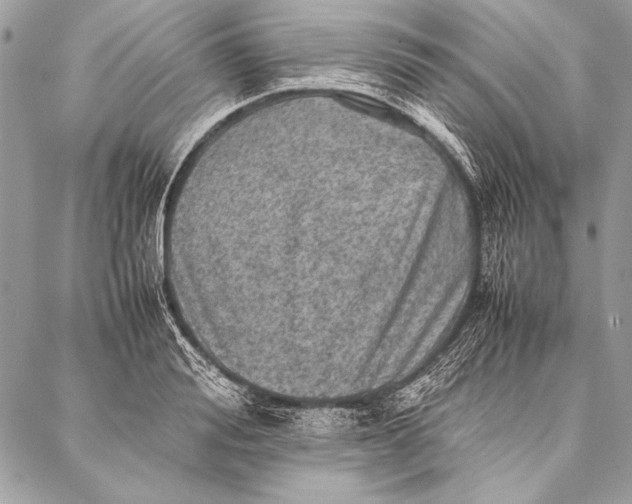 X0000087020988200705071505