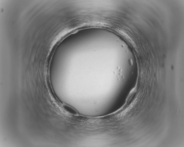 X0000087020989200705071505