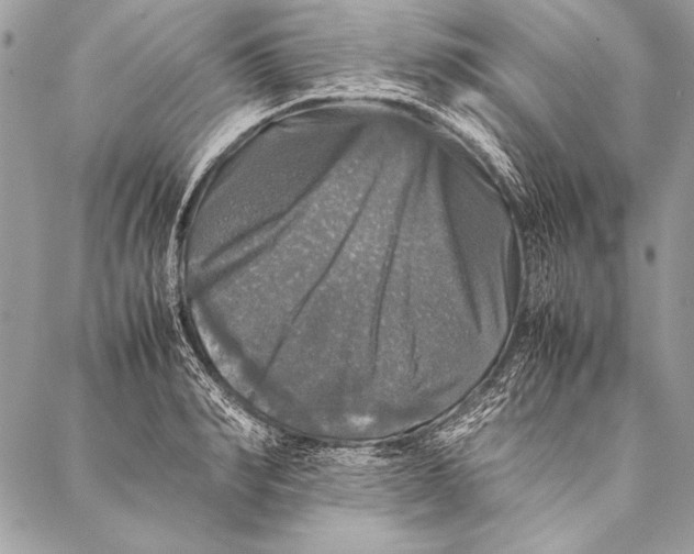 X0000087020990200705071505