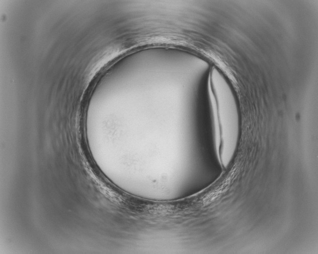 X0000087020991200705071505