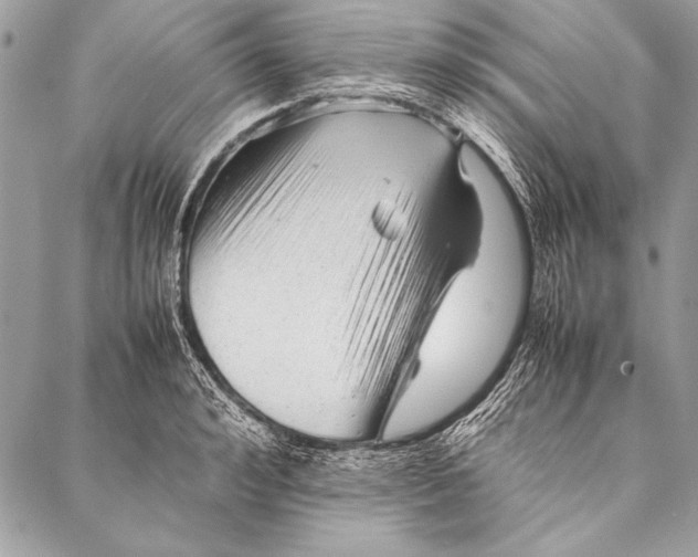 X0000087020992200705071505