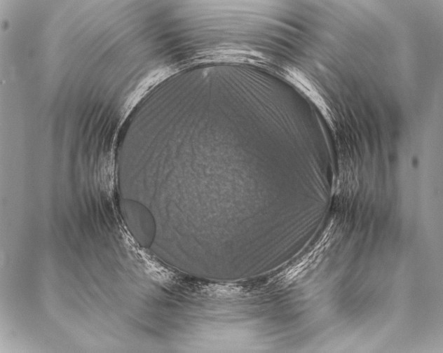 X0000087020994200705071505