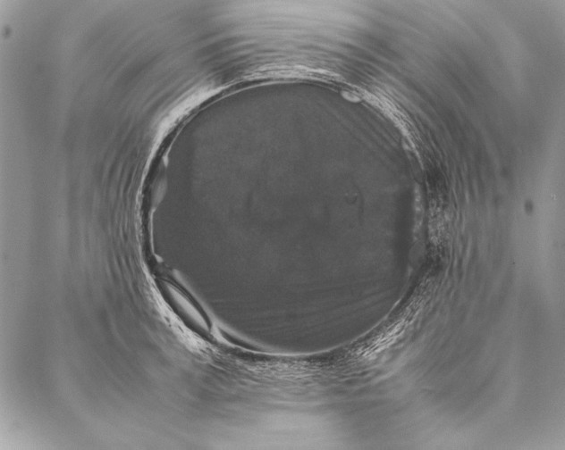 X0000087020995200705071505