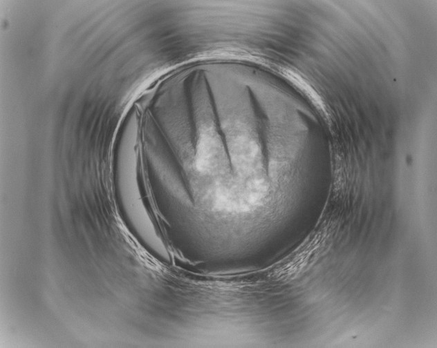 X0000087020996200705071505