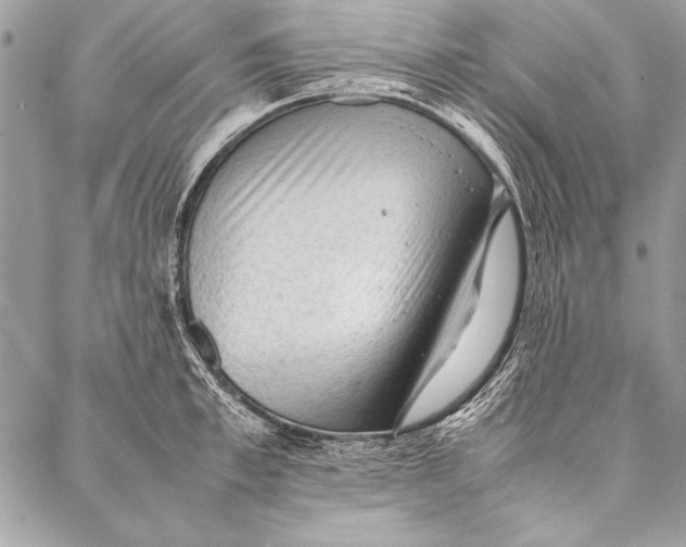 X0000087020997200705071505