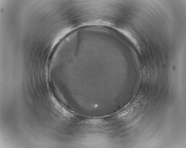 X0000087020998200705071505