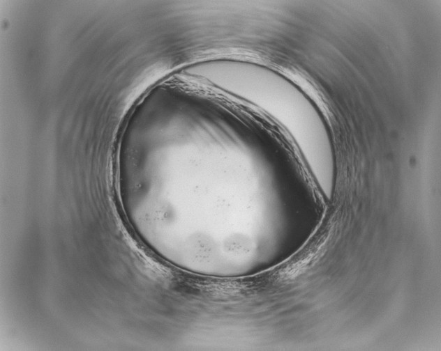 X0000087020999200705071505