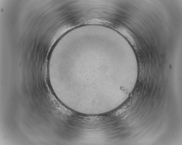 X0000087021000200705071505