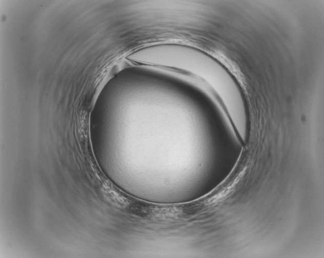 X0000087021001200705071505