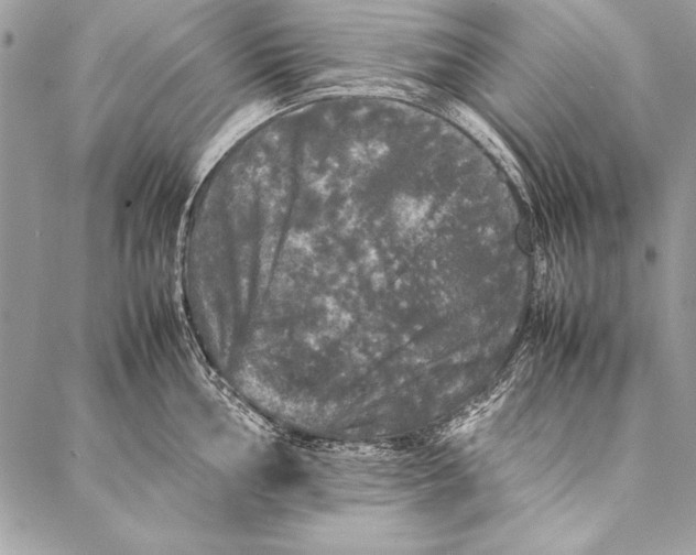 X0000087021002200705071505