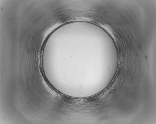 X0000087021003200705071505